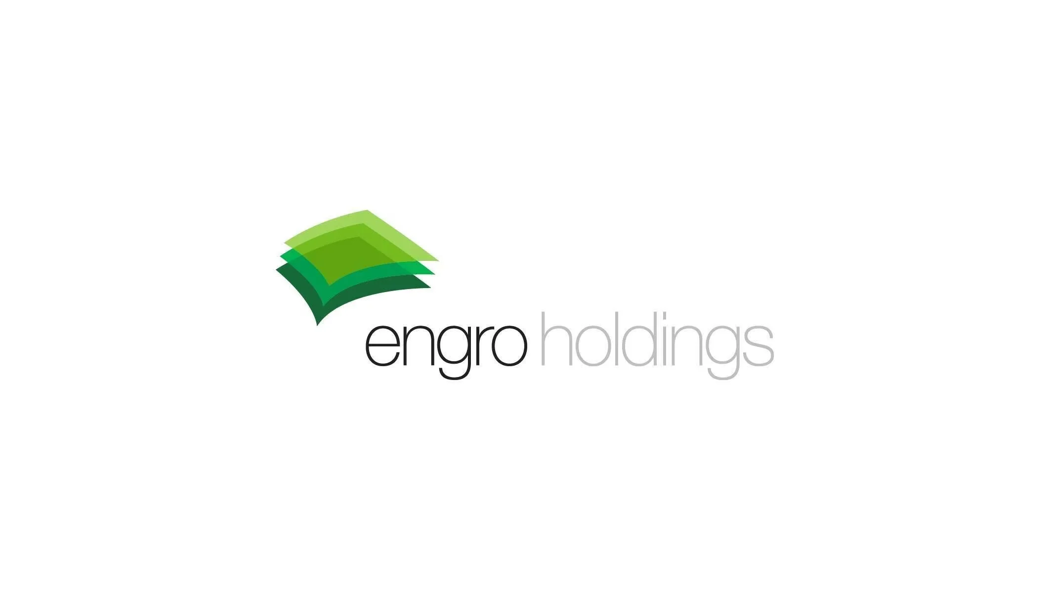 Engro Holdings Limited